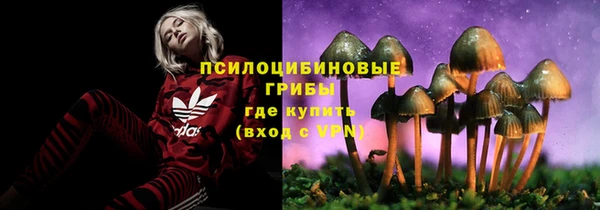кокаин премиум Богородицк