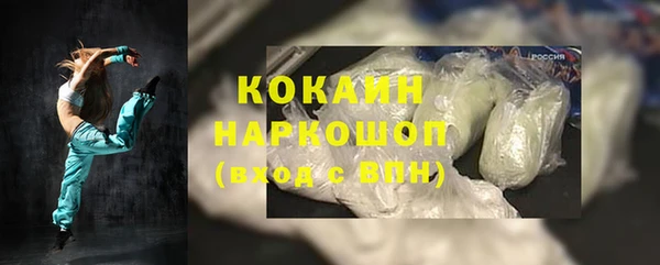 тгк Бородино