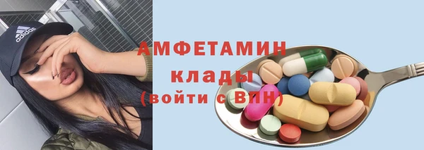 тгк Бородино