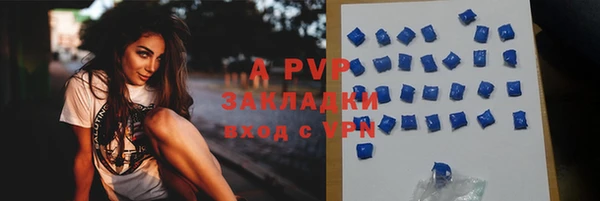 тгк Бородино