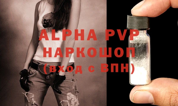тгк Бородино