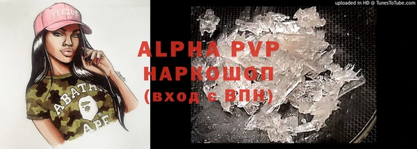 тгк Бородино