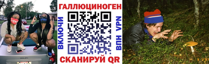 Псилоцибиновые грибы Psilocybe  Болгар 
